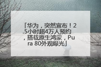 华为，突然宣布！2.5小时超4万人预约，搭载原生鸿蒙，Pura 80外观曝光