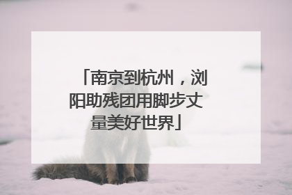 南京到杭州，浏阳助残团用脚步丈量美好世界