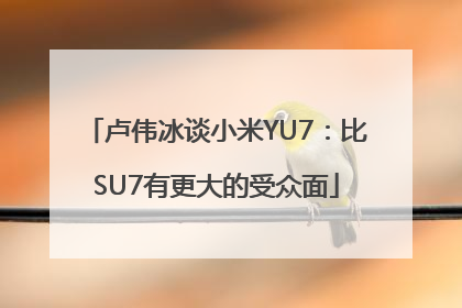 卢伟冰谈小米YU7：比SU7有更大的受众面
