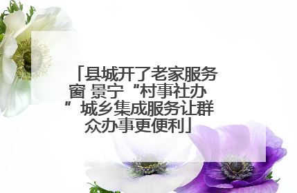 县城开了老家服务窗 景宁“村事社办”城乡集成服务让群众办事更便利