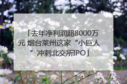 去年净利润超8000万元 烟台莱州这家“小巨人”冲刺北交所IPO
