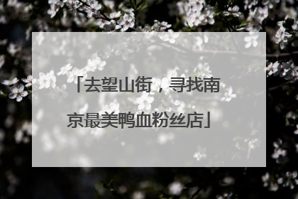 去望山街，寻找南京最美鸭血粉丝店