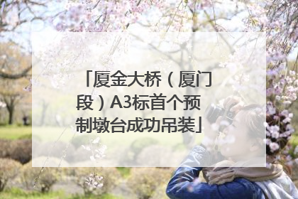 厦金大桥（厦门段）A3标首个预制墩台成功吊装