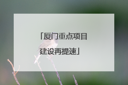 厦门重点项目建设再提速