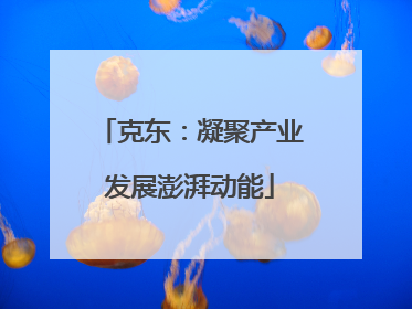 克东：凝聚产业发展澎湃动能