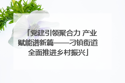 党建引领聚合力 产业赋能谱新篇——刁镇街道全面推进乡村振兴