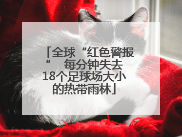 全球“红色警报”  每分钟失去18个足球场大小的热带雨林