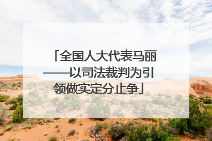 全国人大代表马丽——以司法裁判为引领做实定分止争