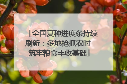 全国夏种进度条持续刷新：多地抢抓农时 筑牢粮食丰收基础