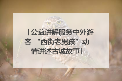 公益讲解服务中外游客 “西街老男孩”动情讲述古城故事