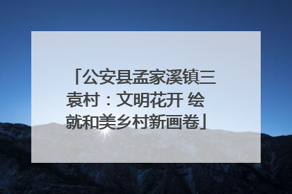 公安县孟家溪镇三袁村：文明花开 绘就和美乡村新画卷