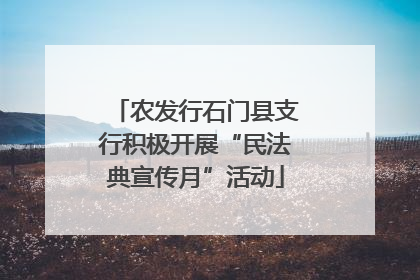 农发行石门县支行积极开展“民法典宣传月”活动