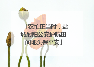 农忙正当时，盐城射阳公安护航田间地头保平安