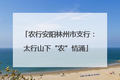 农行安阳林州市支行：太行山下“农”情涌