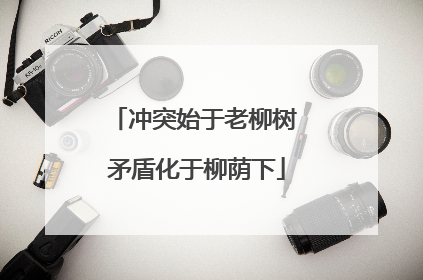 冲突始于老柳树 矛盾化于柳荫下