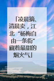 凌晨摘、清晨卖，江北“杨梅自由一条街”藏着最甜的烟火气