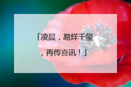 凌晨，易烊千玺，再传喜讯！
