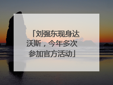 刘强东现身达沃斯，今年多次参加官方活动