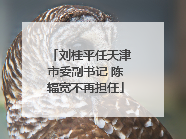 刘桂平任天津市委副书记 陈辐宽不再担任