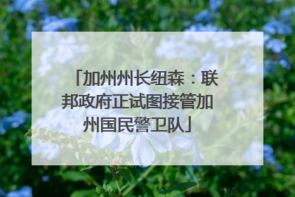 加州州长纽森：联邦政府正试图接管加州国民警卫队