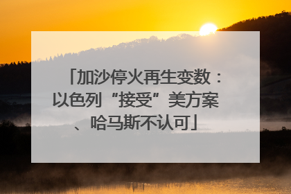 加沙停火再生变数：以色列“接受”美方案、哈马斯不认可