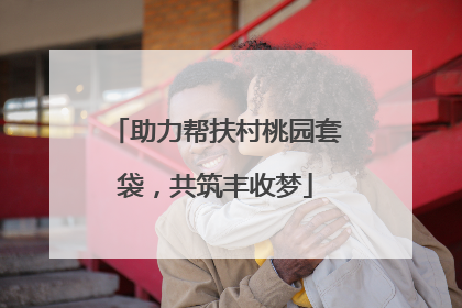 助力帮扶村桃园套袋，共筑丰收梦