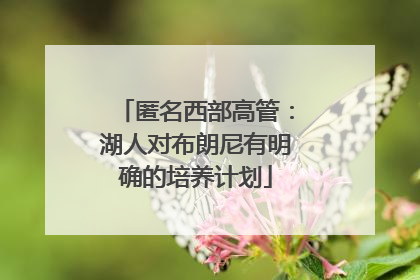匿名西部高管：湖人对布朗尼有明确的培养计划