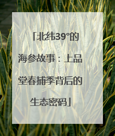 北纬39°的海参故事：上品堂春捕季背后的生态密码