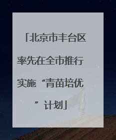 北京市丰台区率先在全市推行实施“青苗培优”计划
