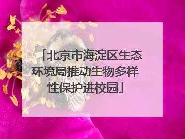 北京市海淀区生态环境局推动生物多样性保护进校园