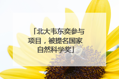 北大韦东奕参与项目，被提名国家自然科学奖