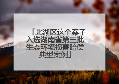 北湖区这个案子入选湖南省第三批生态环境损害赔偿典型案例