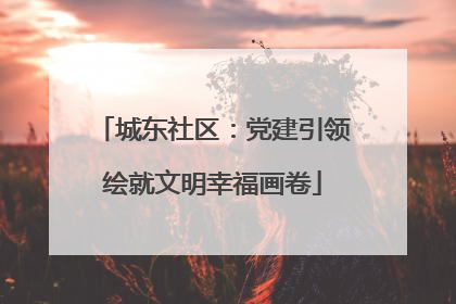 城东社区：党建引领绘就文明幸福画卷