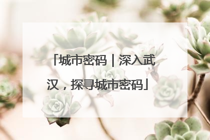 城市密码｜深入武汉，探寻城市密码