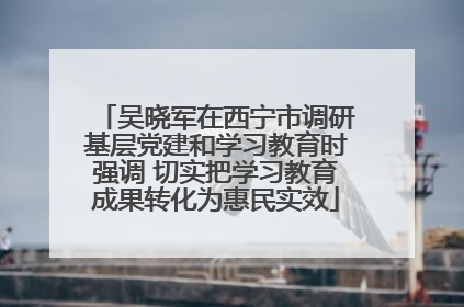 吴晓军在西宁市调研基层党建和学习教育时强调 切实把学习教育成果转化为惠民实效