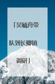 吴毓舟带队到长卿镇调研