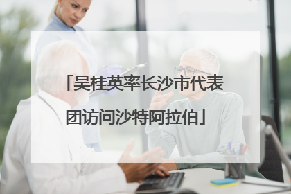 吴桂英率长沙市代表团访问沙特阿拉伯