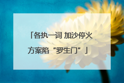 各执一词 加沙停火方案陷“罗生门”