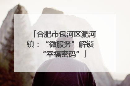 合肥市包河区淝河镇：“微服务”解锁“幸福密码”