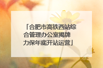 合肥市高铁西站综合管理办公室揭牌 力保年底开站运营
