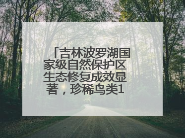 吉林波罗湖国家级自然保护区生态修复成效显著，珍稀鸟类10年增加5倍