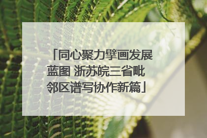 同心聚力擘画发展蓝图 浙苏皖三省毗邻区谱写协作新篇