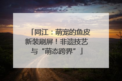 同江：萌宠的鱼皮新装刷屏！非遗技艺与“萌态跨界”