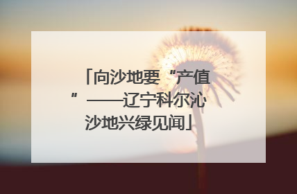 向沙地要“产值”——辽宁科尔沁沙地兴绿见闻