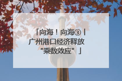 向海！向海③丨广州港口经济释放“乘数效应”