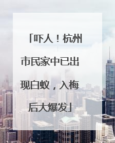 吓人！杭州市民家中已出现白蚁，入梅后大爆发