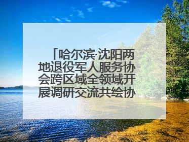 哈尔滨·沈阳两地退役军人服务协会跨区域全领域开展调研交流共绘协同发展