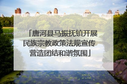 唐河县马振抚镇开展民族宗教政策法规宣传 营造团结和谐氛围