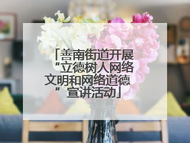 善南街道开展“立德树人网络文明和网络道德”宣讲活动