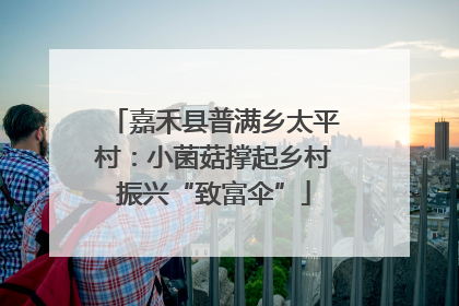 嘉禾县普满乡太平村：小菌菇撑起乡村振兴“致富伞”